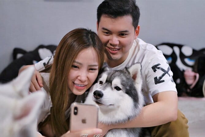 Huskitory Connecting People and Dogs - Meeting the Siberian Huskies