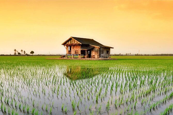 Instagrammable Kuala Selangor Sky Mirror Tour with Transfer - Why the Kuala Selangor Sky Mirror is unusual
