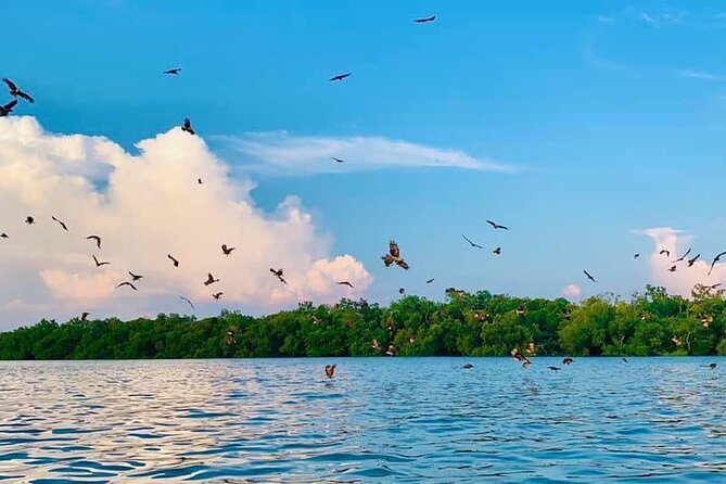 Instagrammable Kuala Selangor Sky Mirror Tour with Transfer - Is $90 a fair price?