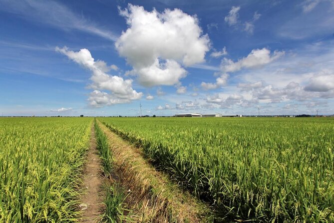 Instagrammable Kuala Selangor Sky Mirror Tour with Transfer - Who will enjoy this day trip most?
