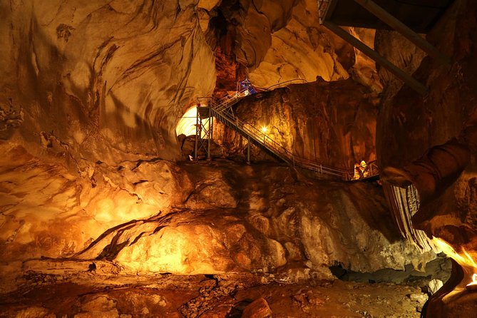 Ipoh Full-Day City Tour from Kuala Lumpur - Gaharu Tea Valley Gopeng and the 12-in-1 trees