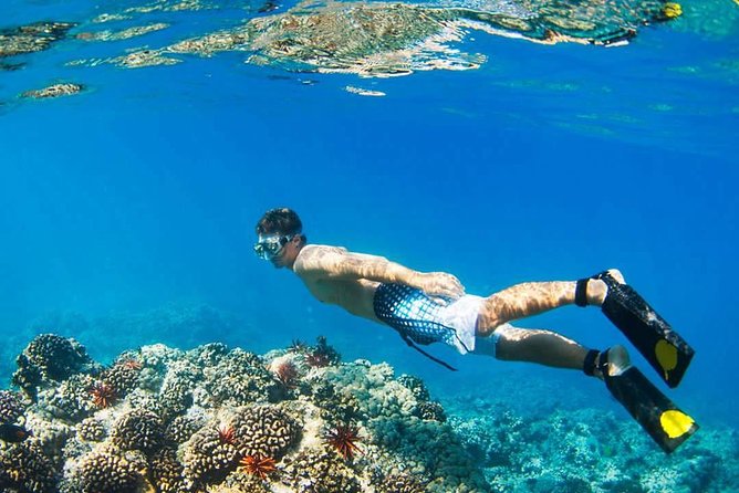 Island Hopping Tour (2 Island) From Kota Kinabalu - Snorkeling: enjoyable, but do not expect a specialist trip