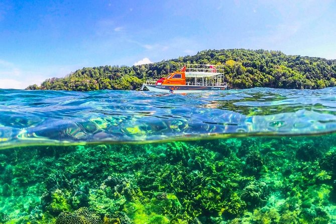 Island Hopping Tour From Kota Kinabalu (2 island) - Who will enjoy this island day most