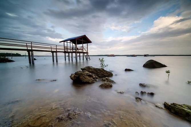 Johor Day Tour - Ostrich Farm, Beach, Waterfall, Fireflies [Car] - Who should book this Johor private tour?