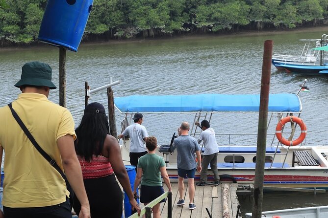 Johor Desaru Coast Day River Cruise - Following the Mangrove Edge for 90 Minutes