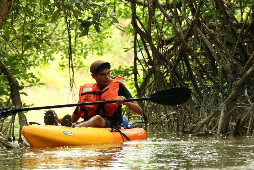 Johor: Sungai Lebam Kayaking with Transfer - Why Sungai Lebam is suited to quiet kayaking