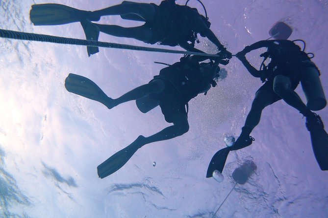 Join us for a RAID Try Dive in Kota Kinabalu - The second boat outing in Tunku Abdul Rahman Marine Park