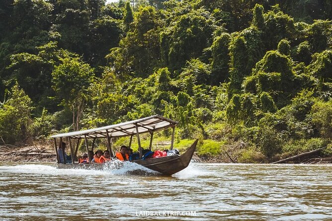 Jungle Odyssey: Unleash Your Adventure in Taman Negara! - Why Taman Negara makes a memorable day trip