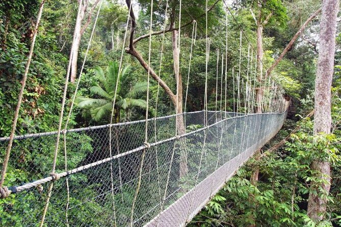 Jungle Odyssey: Unleash Your Adventure in Taman Negara! - The indigenous settlement visit
