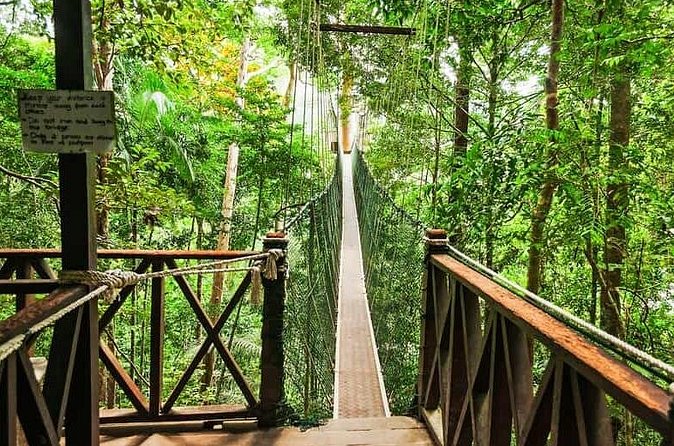 Jungle Odyssey: Unleash Your Adventure in Taman Negara! - Private touring changes the pace