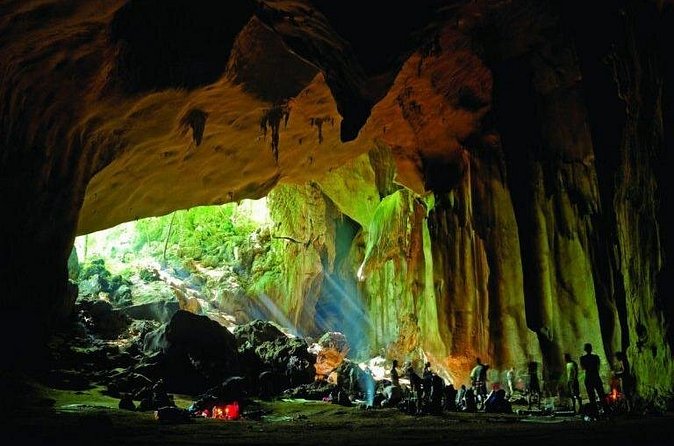 Jungle Odyssey: Unleash Your Adventure in Taman Negara! - Who should book this Taman Negara outing?