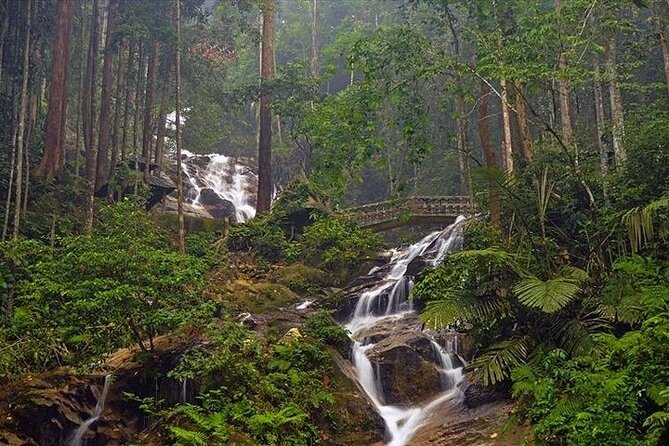 Kanching Waterfall Tour with Batu Caves Stopover - Time, pickup, and meeting details