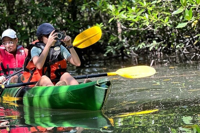 Kayaking Kilim Mangrove Geoforest - Guide quality can make the biggest difference