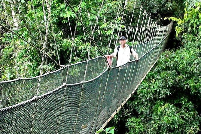 Kinabalu National Park Tour - Nabalu Fruit Market: a useful first stop