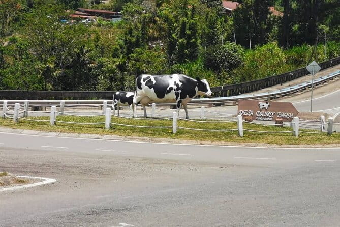 Kinabalu Park And Poring Hot Spring Private Day Tour - Pekan Nabalu market and local treats