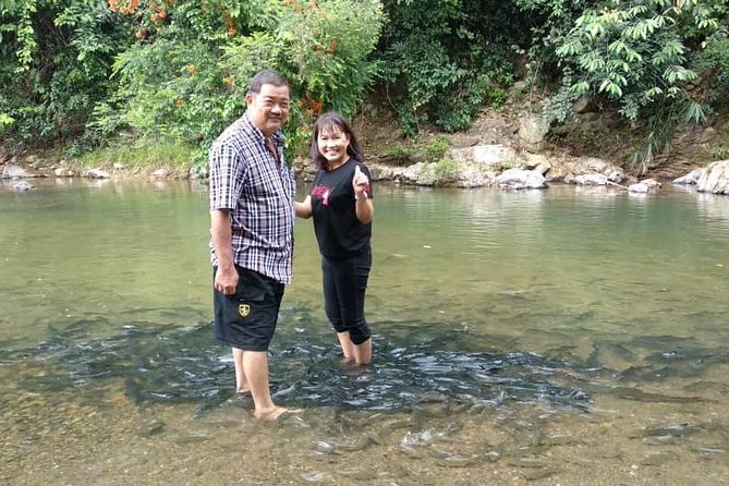 Kinabalu Park Day Trip - Key points to know before booking