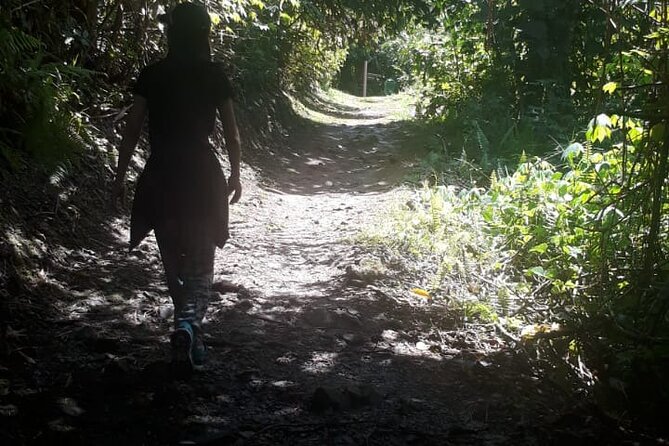 Kinabalu Park Day Trip - Lunch is useful, but keep expectations simple