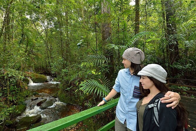 Kinabalu Park, Desa Dairy Farm & Poring Hot Springs Tour - A long day beyond Kota Kinabalu