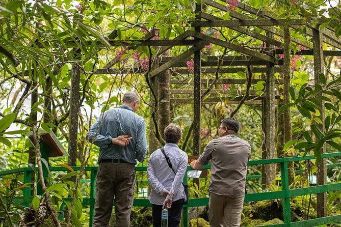 Kinabalu Park, Desa Dairy Farm & Poring Hot Springs Tour - Poring Hot Springs: the slower choice