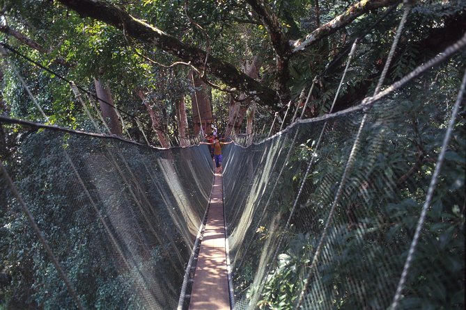 Kinabalu Park & Poring Hot Spring Tour - Desa Cattle Farm at 9:30 am