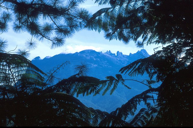 Kinabalu Park & Poring Hot Spring Tour - Poring Hot Spring and the Canopy Walk