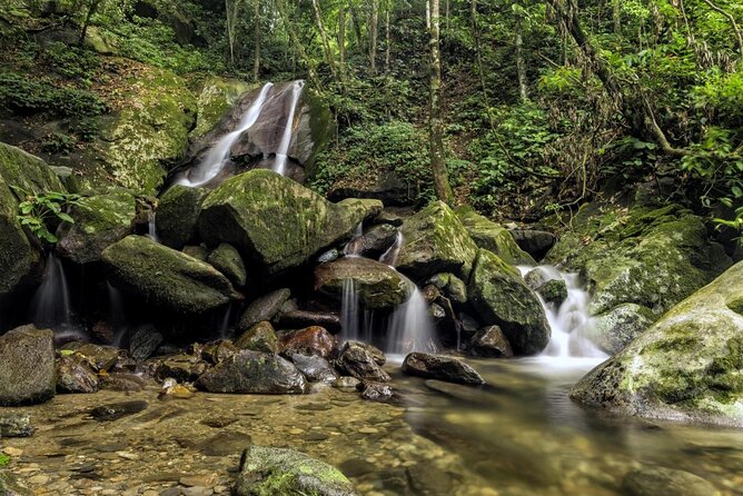 Kinabalu Park & Poring Hot Springs Tour with Desa Dairy Farm - Key points at a glance