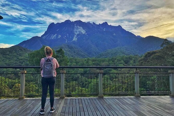 Kinabalu Park & Poring Hot Springs Tour with Desa Dairy Farm - Nabalu Market: a short first look at Sabah