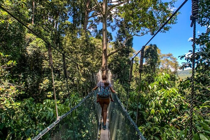 Kinabalu Park & Poring Hot Springs Tour with Desa Dairy Farm - The Poring Canopy Walkway requires a short hike