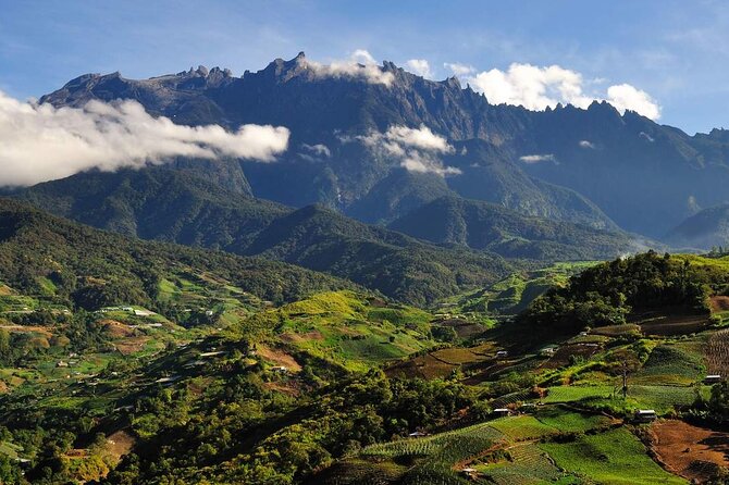 Kinabalu Park & Poring Hot Springs Tour with Desa Dairy Farm - Desa Dairy Farm and the Little New Zealand view