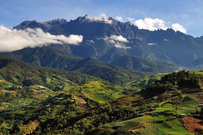 Kinabalu Park Tour with Desa Dairy Farm & Poring Hot Springs - Soaking at Poring Hot Springs