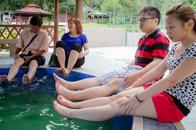 Kinabalu Park Tour with Desa Dairy Farm & Poring Hot Springs - Kinabalu Park and Mount Kinabalu