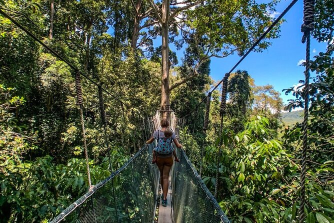 Kinabalu Park Tour with Desa Dairy Farm & Poring Hot Springs - Poring Nature Reserve and the Canopy Walkway