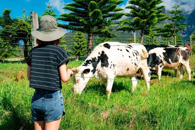 Kinabalu Park With Rumah Terbalik & Desa Cow Farm - What the $129.55 price really covers