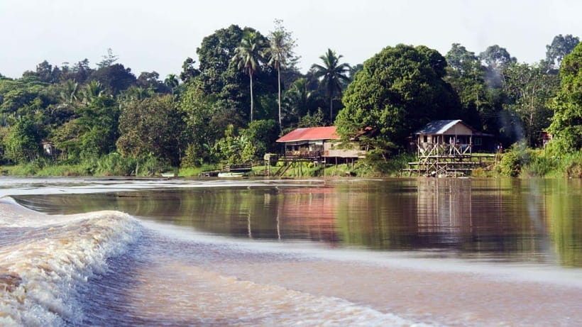 Kinabatangan River Trip from Sandakan with Lunch Included - Who will enjoy this day trip most