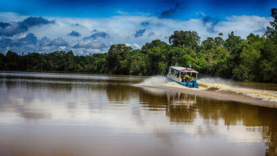 Kinabatangan River Trip from Sandakan with Lunch Included