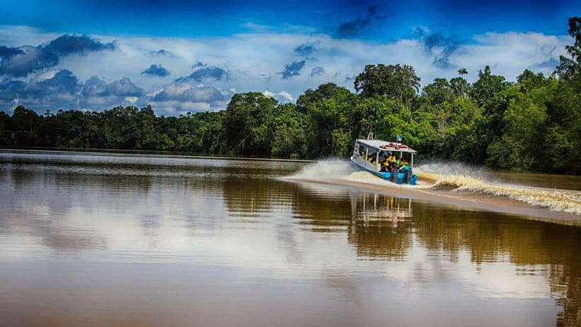 Kinabatangan River Trip from Sandakan with Lunch Included - The long road toward Bilit