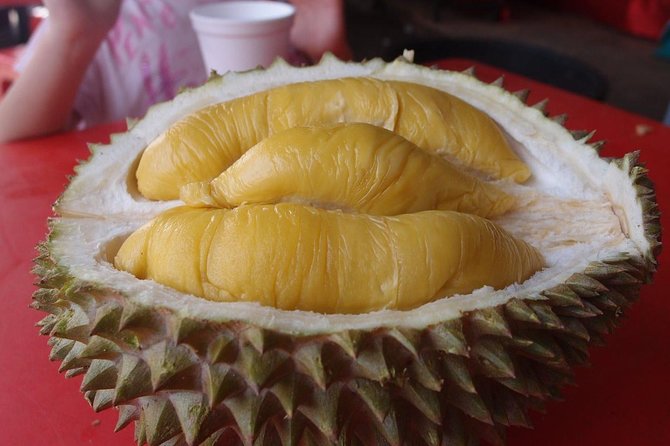 King of Tropical Fruits - Durian Tasting Tour From Kuala Lumpur - Key points to know before booking