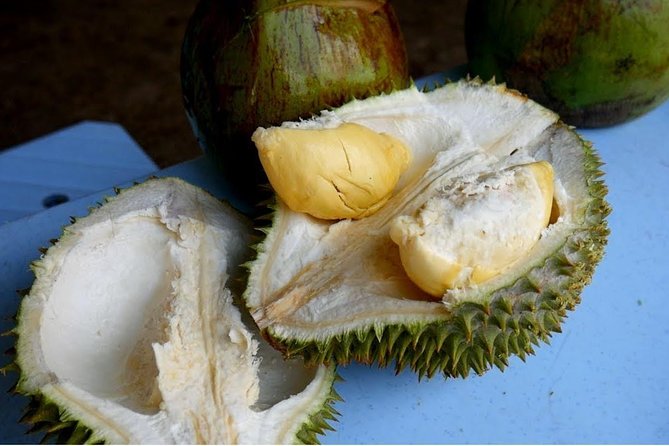 King of Tropical Fruits - Durian Tasting Tour From Kuala Lumpur - Comparing D10, D1, and D101