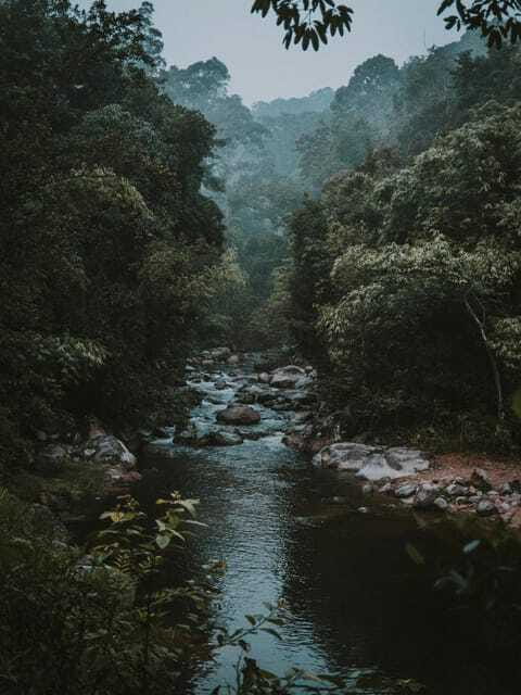 KL: Day Tour with Rafting, Fireflies, and Meals - The pace, transport, and guide matter
