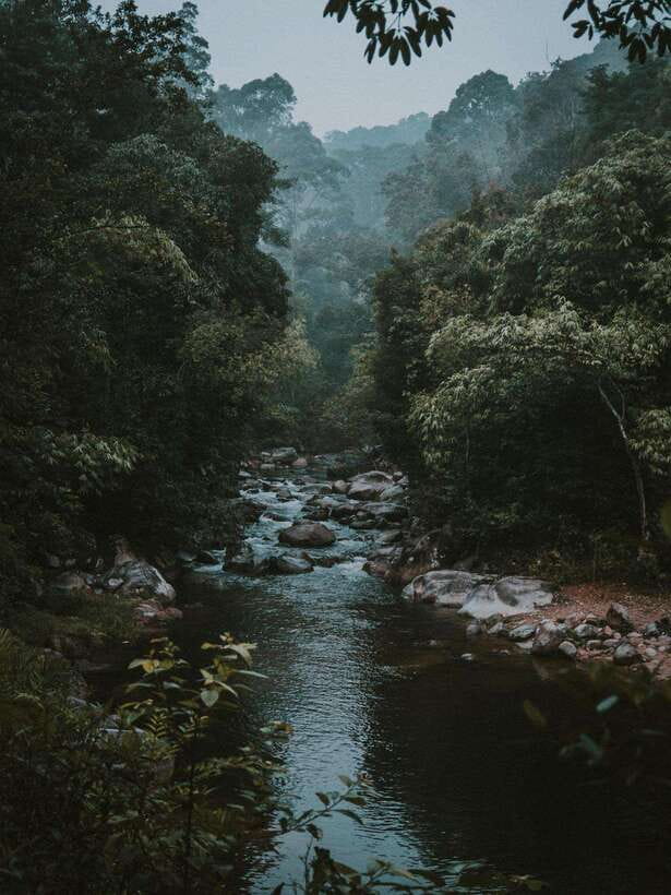 KL: Day Tour with Rafting, Fireflies, and Meals - Batu Caves means 272 steps and a little effort