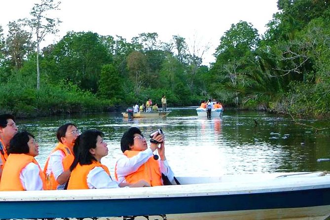 Klias River Fireflies & Wildlife Safari Cruise from Kota Kinabalu - Key points before you book