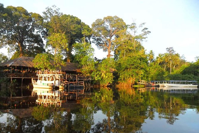 Klias River Fireflies & Wildlife Safari Cruise from Kota Kinabalu - The first cruise: looking for proboscis monkeys