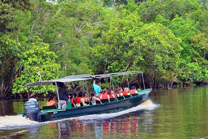 Klias River Fireflies & Wildlife Safari Cruise from Kota Kinabalu - The drive from Kota Kinabalu to the river