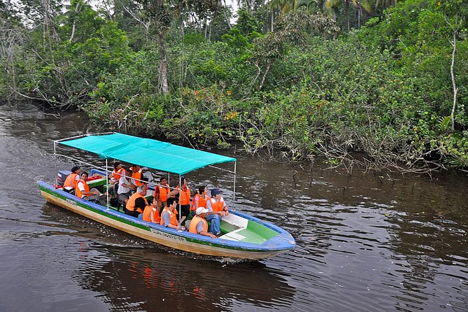 Klias Wildlife Safari River Cruise - Proboscis Monkey & Fireflies - Who will enjoy this trip most