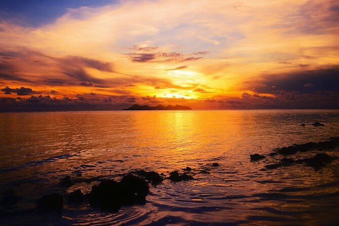Kota Kinabalu: Bongawan River Cruise, City Tour & Fireflies - Guide quality can shape the whole day