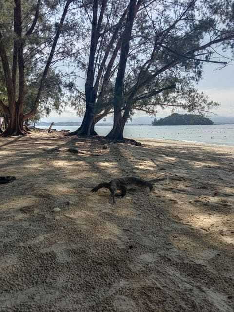 Kota Kinabalu: Manukan & Sapi Islands Snorkeling with Lunch - The guide can shape the whole day