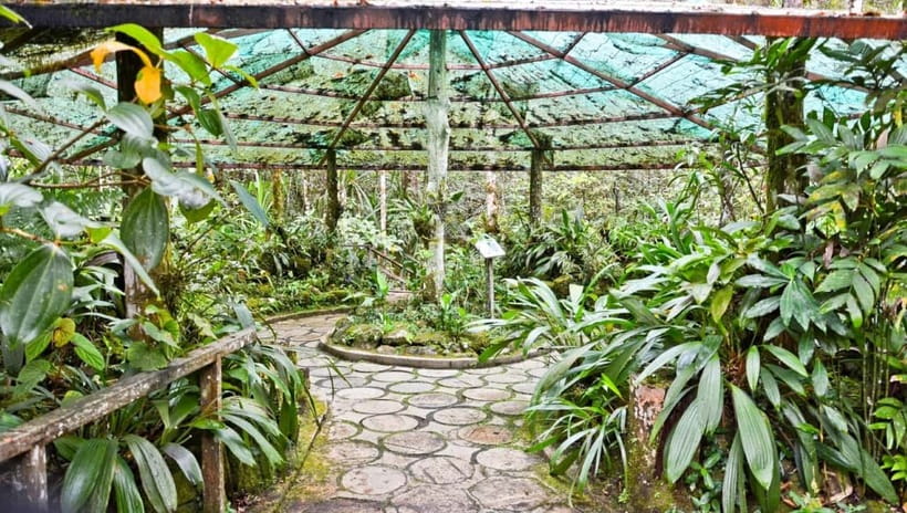 Kota Kinabalu: Private Kundasang and Poring Hot Spring Tour - Silau-Silau trails and the feel of the forest