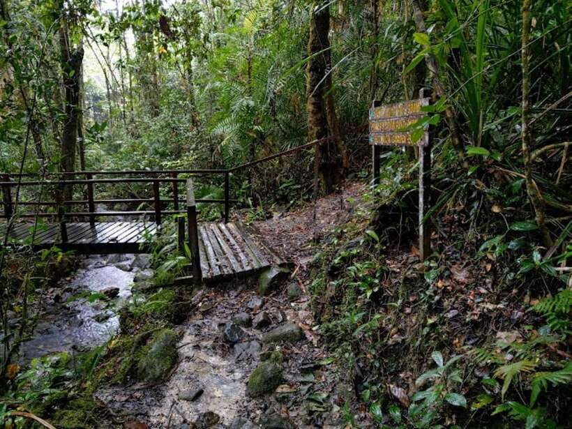 Kota Kinabalu: Private Kundasang and Poring Hot Spring Tour - Who will enjoy this Kundasang day trip?