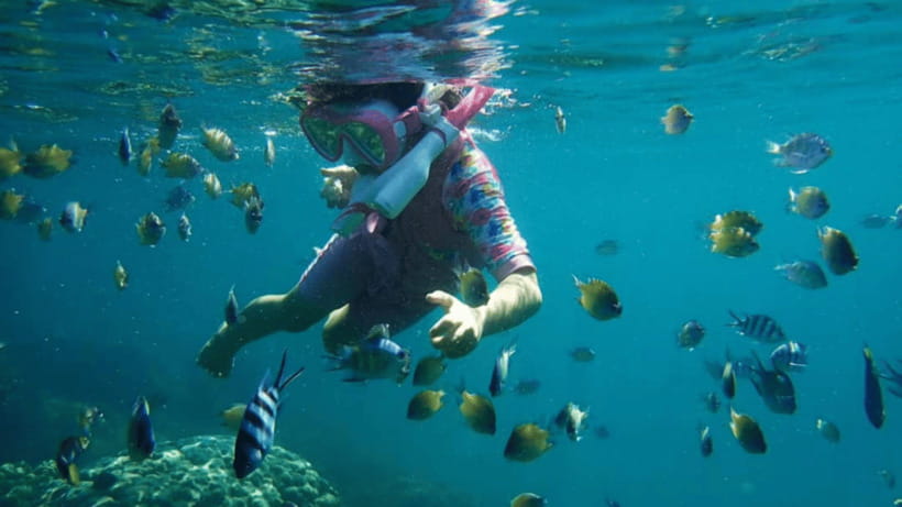 Kota Kinabalu : Snorkeling at Ara Dinawan Private Island - Lunch, local tea, and the best pause of the day