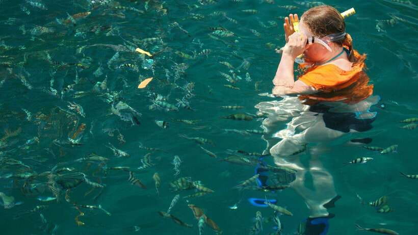 Kota Kinabalu: Snorkeling & Island Hopping Sapi & Manukan - The short ride to Manukan Island
